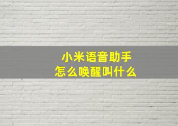 小米语音助手怎么唤醒叫什么