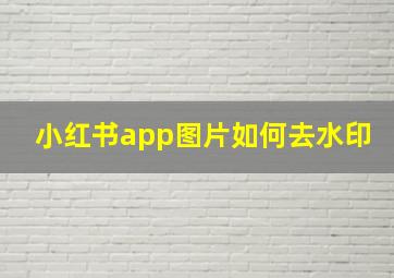 小红书app图片如何去水印