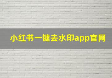 小红书一键去水印app官网