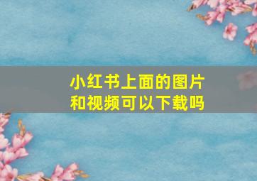 小红书上面的图片和视频可以下载吗