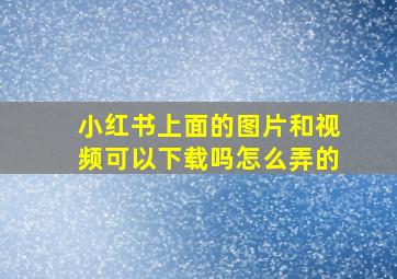 小红书上面的图片和视频可以下载吗怎么弄的