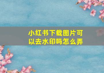 小红书下载图片可以去水印吗怎么弄