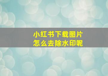 小红书下载图片怎么去除水印呢