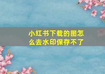 小红书下载的图怎么去水印保存不了