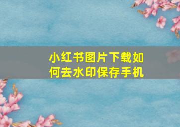 小红书图片下载如何去水印保存手机