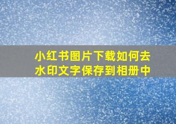 小红书图片下载如何去水印文字保存到相册中