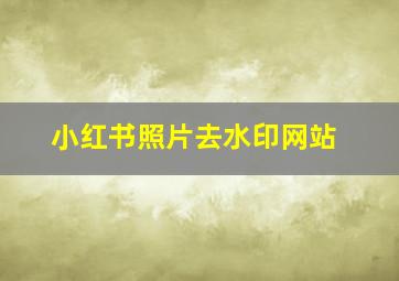 小红书照片去水印网站