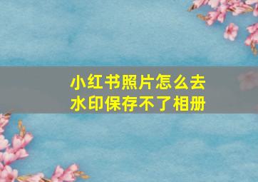 小红书照片怎么去水印保存不了相册