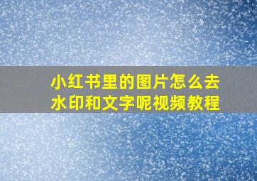 小红书里的图片怎么去水印和文字呢视频教程