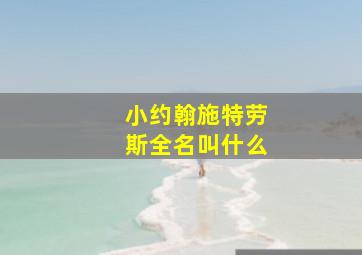 小约翰施特劳斯全名叫什么