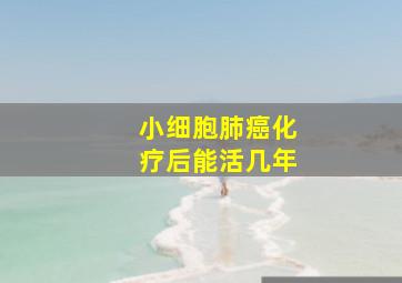 小细胞肺癌化疗后能活几年