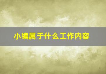 小编属于什么工作内容