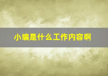 小编是什么工作内容啊