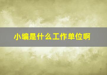 小编是什么工作单位啊