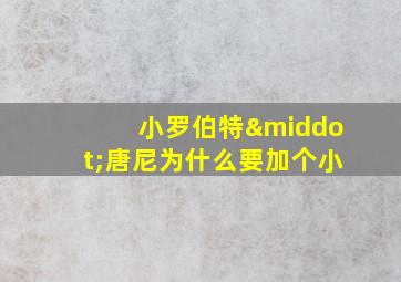 小罗伯特·唐尼为什么要加个小