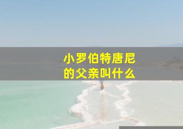 小罗伯特唐尼的父亲叫什么