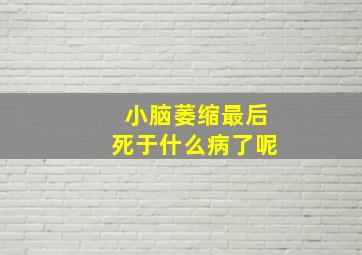 小脑萎缩最后死于什么病了呢