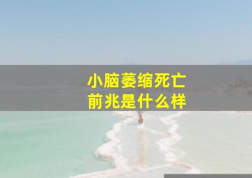 小脑萎缩死亡前兆是什么样