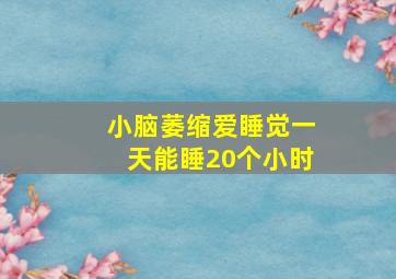 小脑萎缩爱睡觉一天能睡20个小时