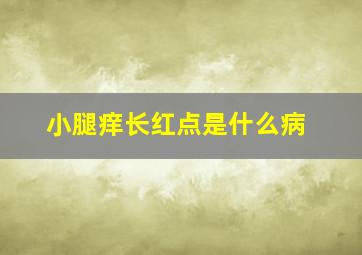 小腿痒长红点是什么病