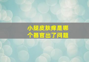 小腿皮肤痒是哪个器官出了问题