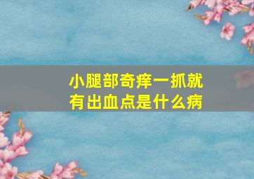 小腿部奇痒一抓就有出血点是什么病