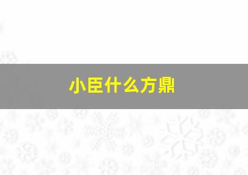 小臣什么方鼎