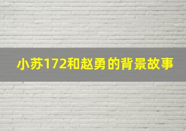 小苏172和赵勇的背景故事