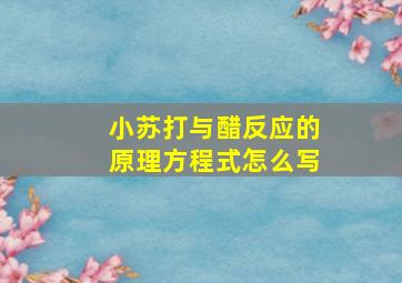 小苏打与醋反应的原理方程式怎么写