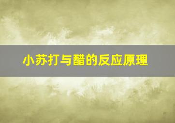 小苏打与醋的反应原理