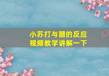 小苏打与醋的反应视频教学讲解一下