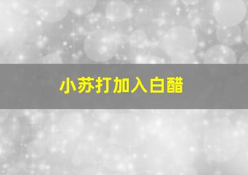 小苏打加入白醋