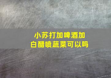 小苏打加啤酒加白醋喷蔬菜可以吗