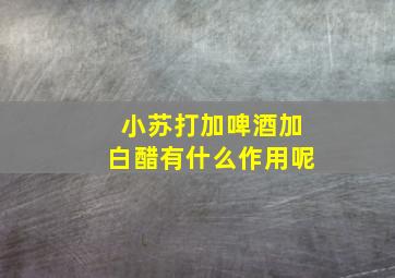 小苏打加啤酒加白醋有什么作用呢