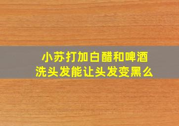 小苏打加白醋和啤酒洗头发能让头发变黑么