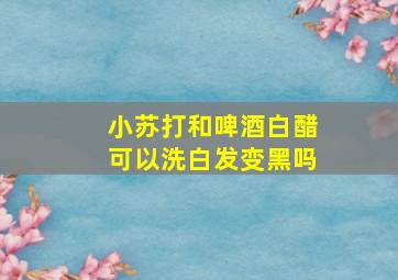 小苏打和啤酒白醋可以洗白发变黑吗