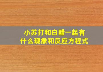 小苏打和白醋一起有什么现象和反应方程式