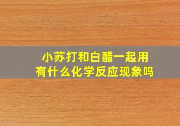 小苏打和白醋一起用有什么化学反应现象吗