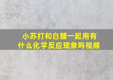 小苏打和白醋一起用有什么化学反应现象吗视频