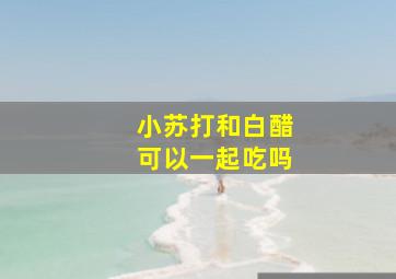 小苏打和白醋可以一起吃吗