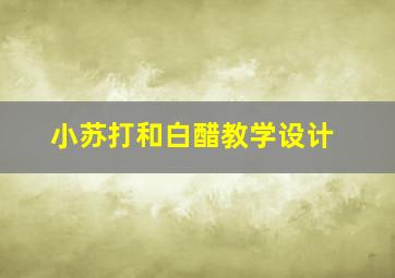 小苏打和白醋教学设计