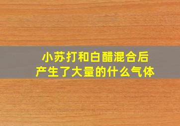 小苏打和白醋混合后产生了大量的什么气体