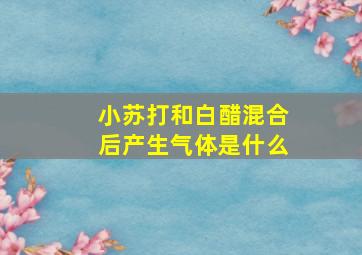 小苏打和白醋混合后产生气体是什么