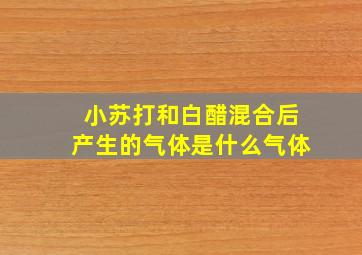 小苏打和白醋混合后产生的气体是什么气体