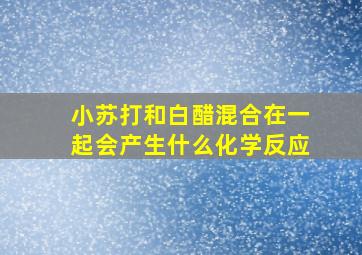 小苏打和白醋混合在一起会产生什么化学反应