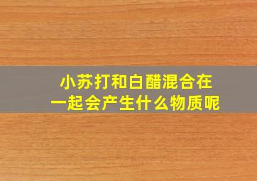 小苏打和白醋混合在一起会产生什么物质呢