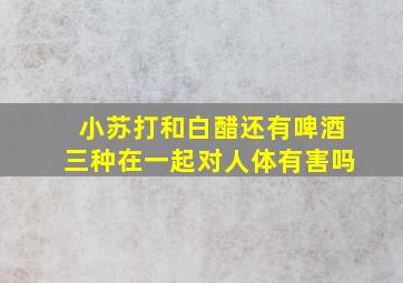 小苏打和白醋还有啤酒三种在一起对人体有害吗