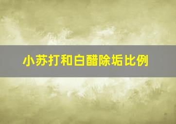 小苏打和白醋除垢比例