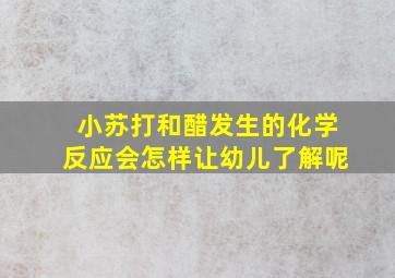 小苏打和醋发生的化学反应会怎样让幼儿了解呢