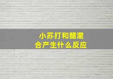 小苏打和醋混合产生什么反应